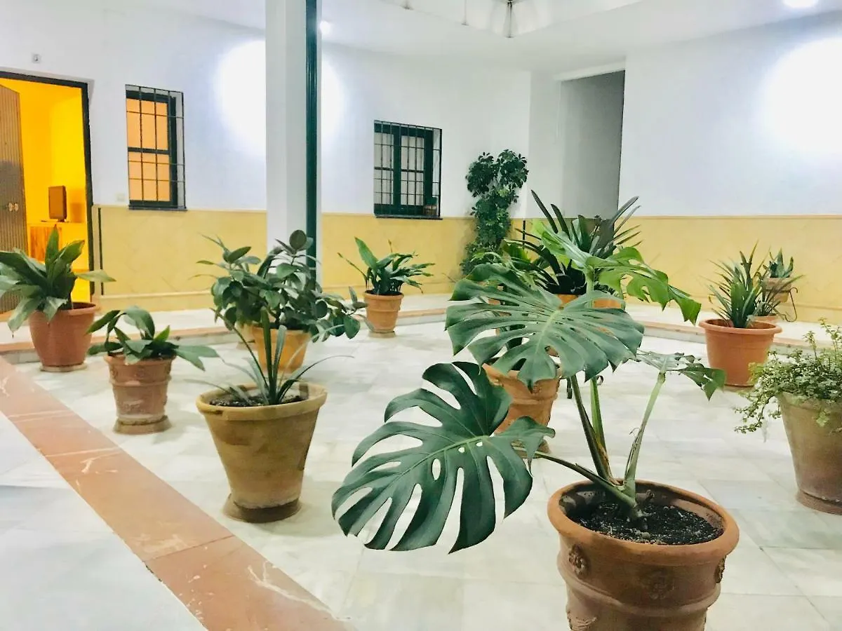 Apartment Los Patios De La Juderia Seville Spain